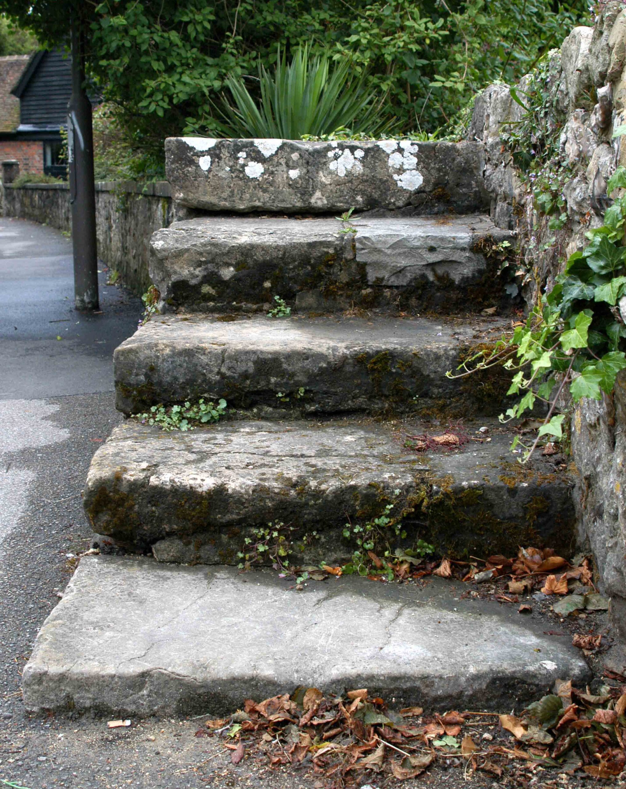 The-Steps